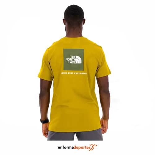 Camiseta hombre The North Face