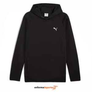 Sudadera hombre Puma Evostripe
