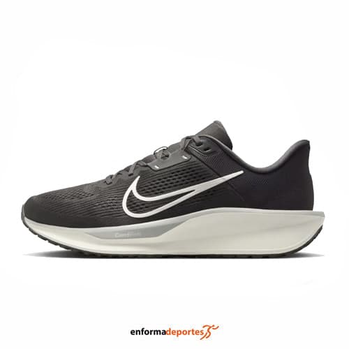 Zapatilla hombre Nike Quest 6