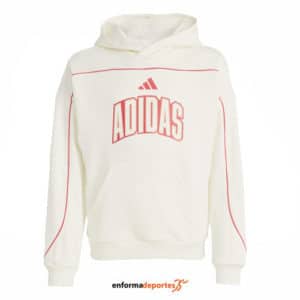 Sudadera junior Adidas Stadium Letter HD