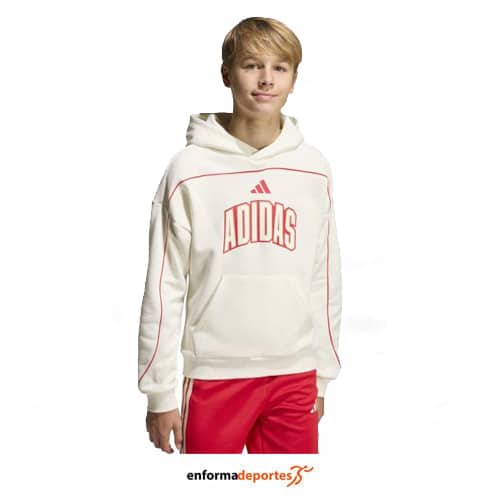 Sudadera junior Adidas Stadium Letter HD