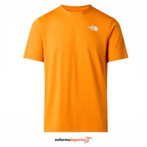 Camiseta hombre The North Face Box NSE SS