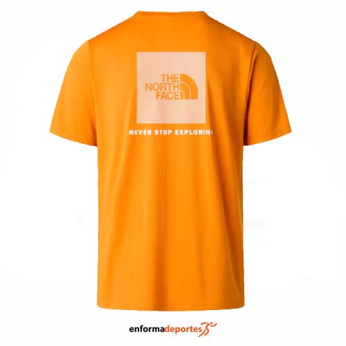 Camiseta hombre The North Face Box NSE SS