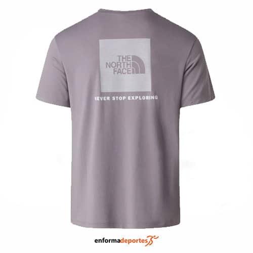 Camiseta hombre The North Face Box NSE SS
