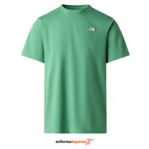 Camiseta hombre The North Face Evolution Simple Dome Regular
