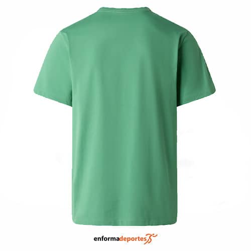 Camiseta hombre The North Face Evolution Simple Dome Regular