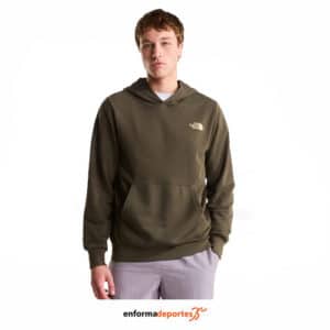 Sudadera hombre the North Face Monte Regular Hoodie-Graphic