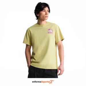 Camiseta hombre The North Face Mountain scape